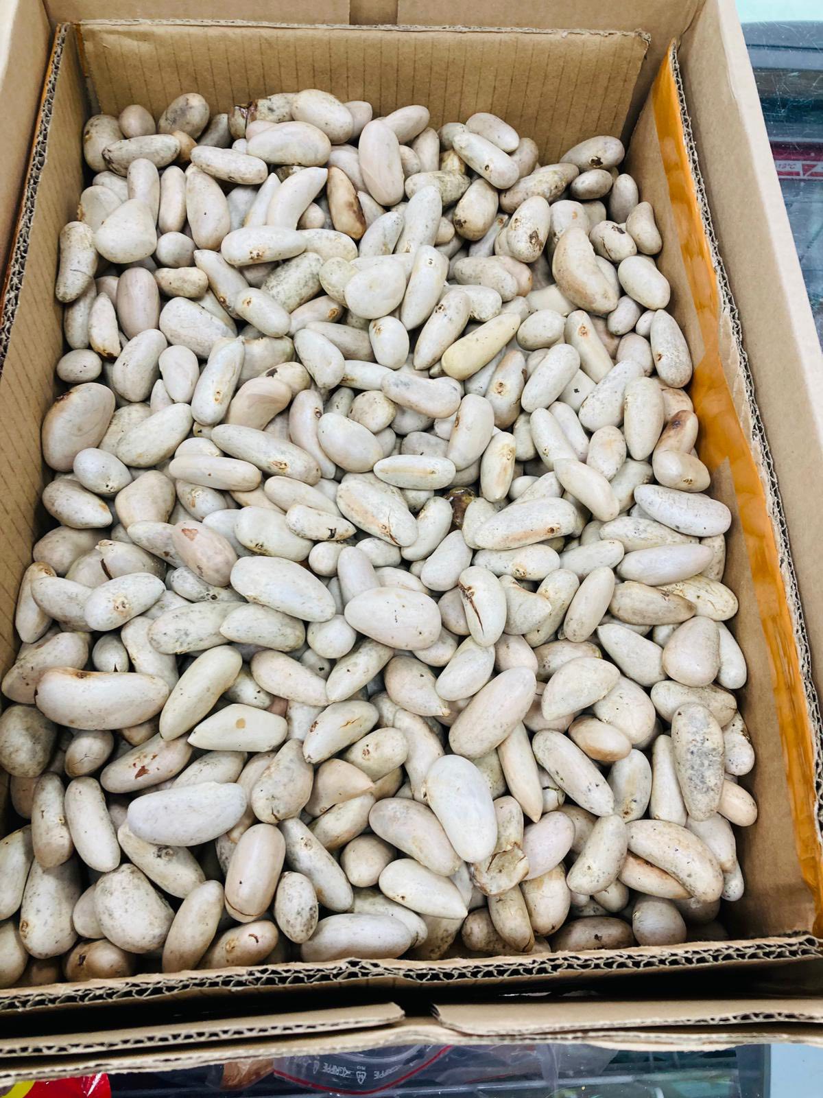 Jackfruit seeds 500g
