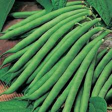 Small Beans 500g