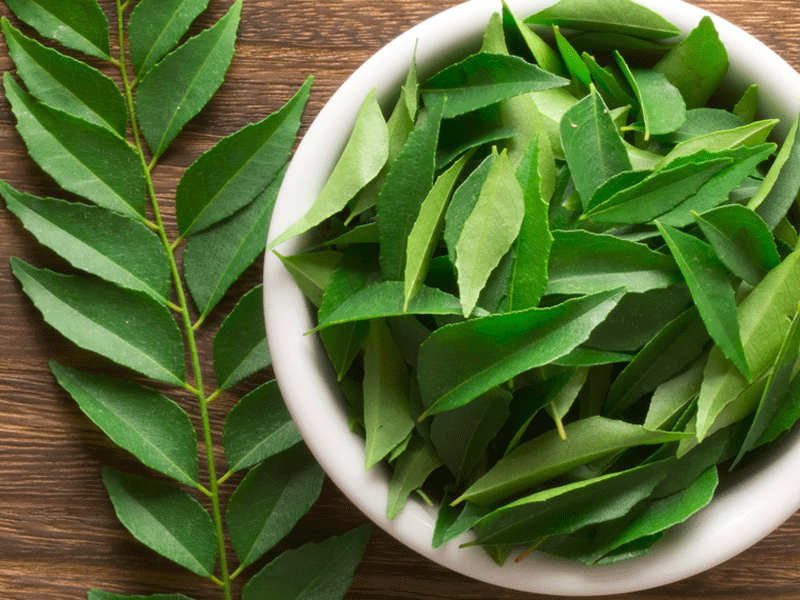 Curry Leaves Fresh 1 pack