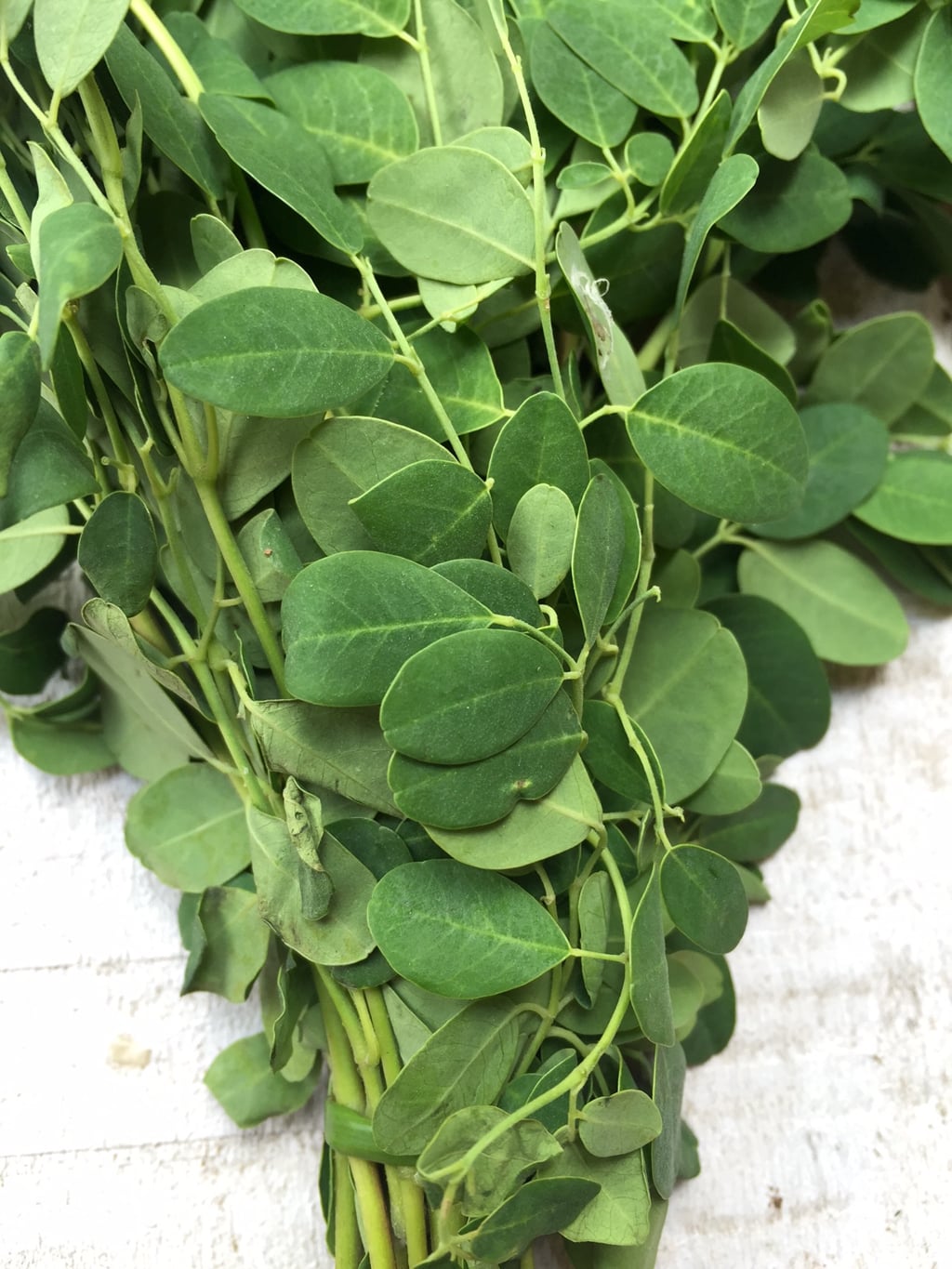 Drumstick Leaves 1 stk (Munagaku)