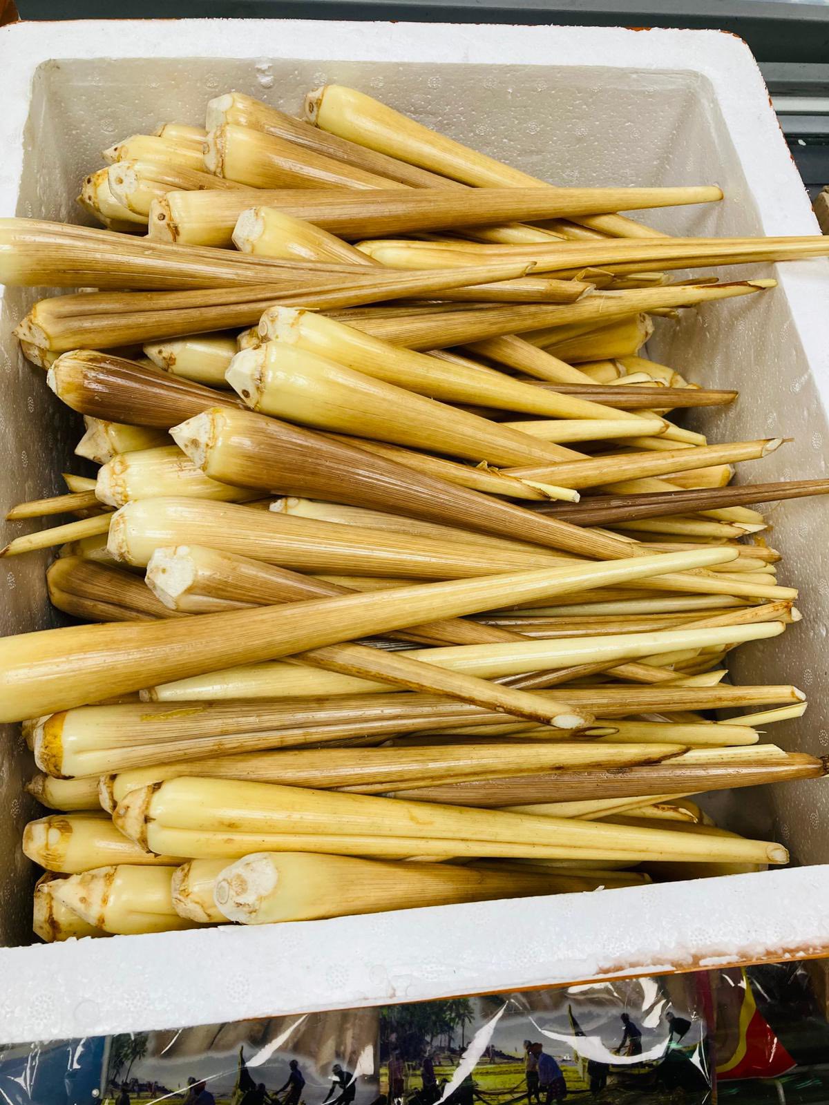 palmyra-palm sprouts (Gengul) 500g