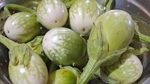 Green Brinjal 500g