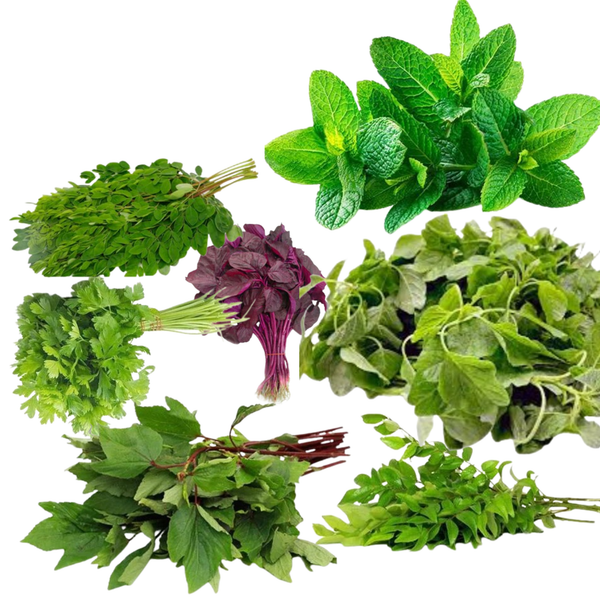 Leafy Vegetables & Herbs