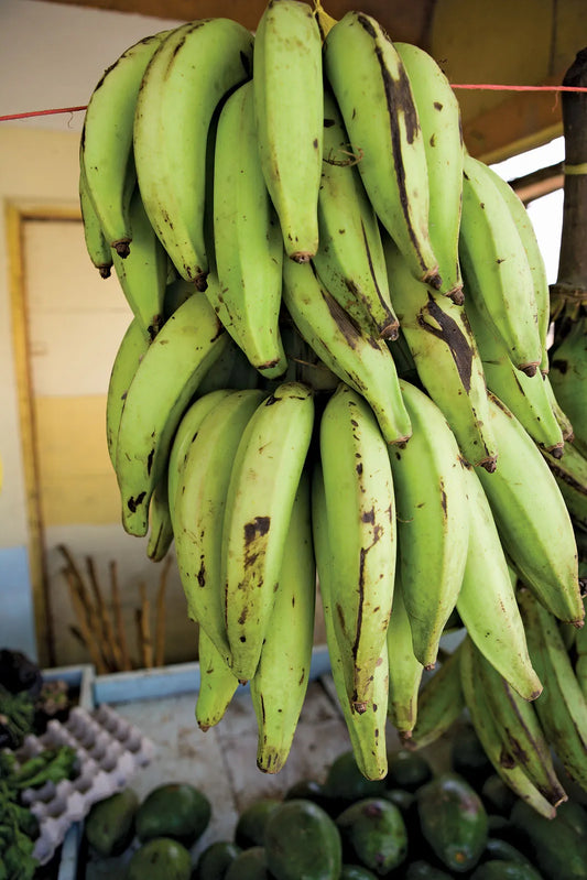 Plantain 500g