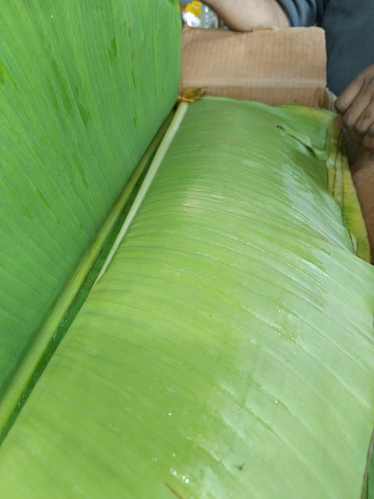 banana long leaf 1 stk