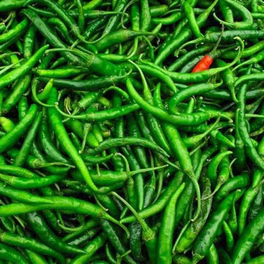 Green Chili (Mirchi) 250g