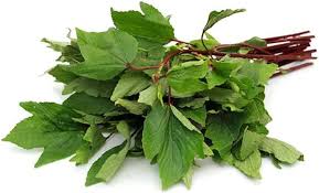 Gongura leaves Fresh 500g