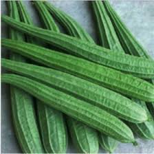 Turia-Ridgegourd – 500gm